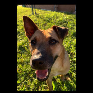 Meet your Posher, Brianise